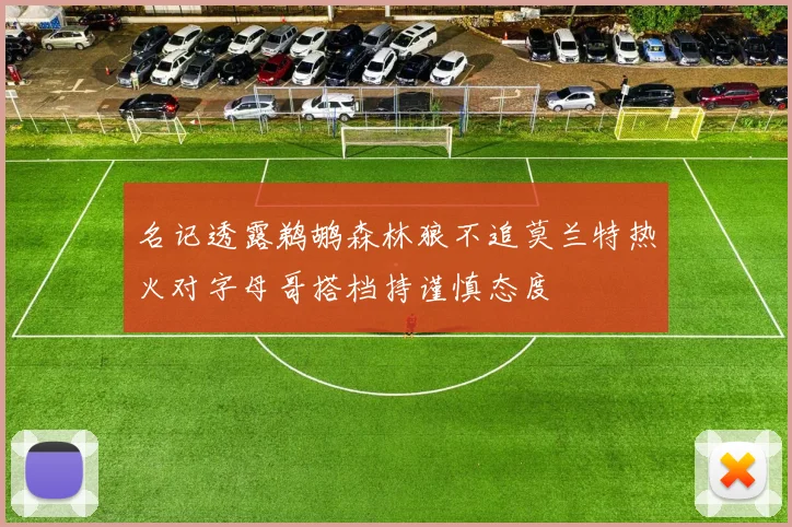 名记透露鹈鹕森林狼不追莫兰特热火对字母哥搭档持谨慎态度